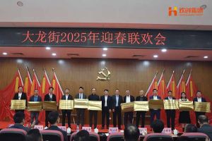 开云（中国）集团及旗下子公司荣获“2024年度高质量发展先进企业”
